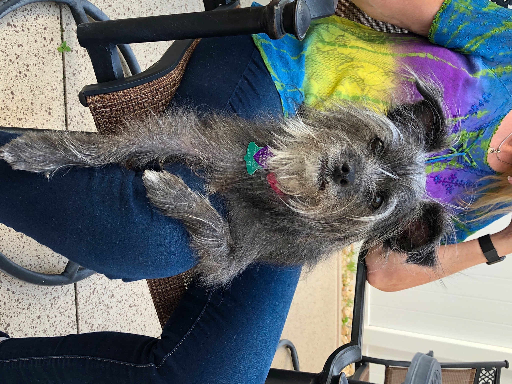 Gigi