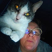 Ninnin a rejoint le concours — aidez-le/la à gagner de superbes lots ! animal, casual, cat, close_up, companion, cozy, curious, dark_background, eyewear, face, feline, glasses, human, indoor, person, pet, portrait, reflection, selfie, yellow_eyes