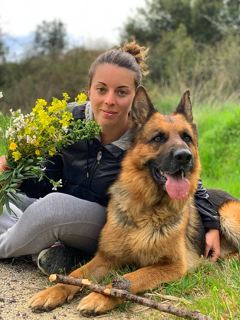 Levis participe au concours pour gagner de l'argent avec cette photo : canidae, carnivore, companion_dog, dog, dog_breed, east_european_shepherd, fawn, flower, german_shepherd_dog, grass, happy, herding_dog, people_in_nature, plant, sky, smile, snout, sporting_group, tree, working_dog