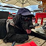 black_dog, canine, cap, casual, daytime, dog, leash, legs, outdoor, patio, red_furniture, relaxing, resting, shoes, summer, sun_protection, sunglasses, tongue_out, umbrella, wooden_deck