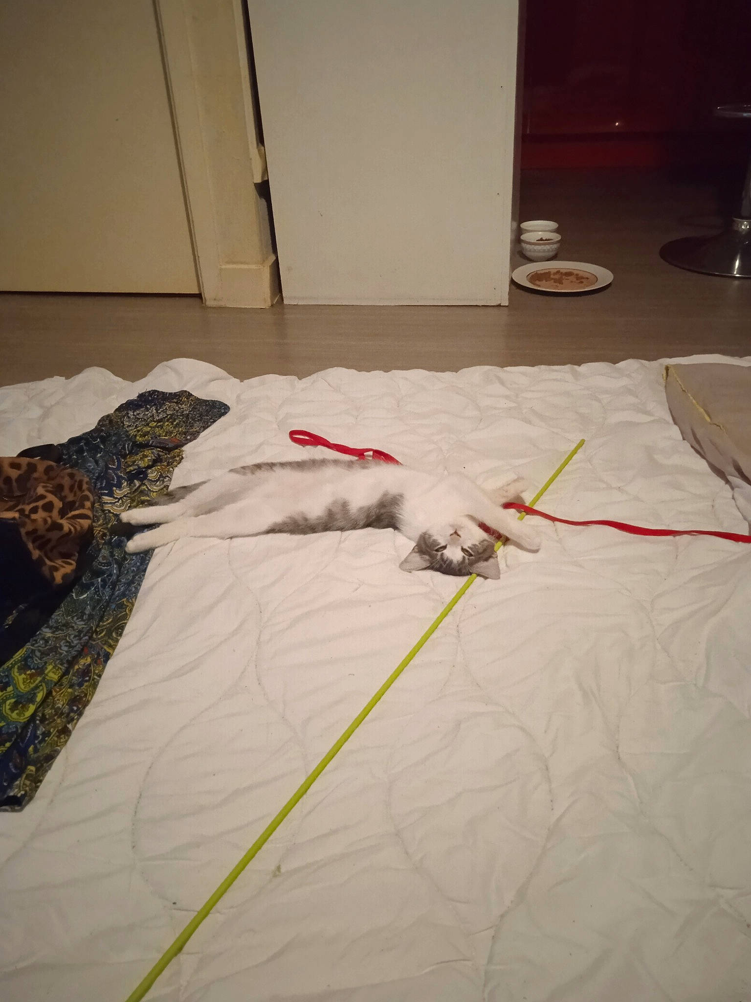 Choupie a rejoint le concours — aidez-le/la à gagner de superbes lots ! art, bedding, carmine, carpet, comfort, door, floor, flooring, gas, hardwood, linens, paint, pattern, plaster, room, tile, visual_arts, wire, wood, wood_flooring