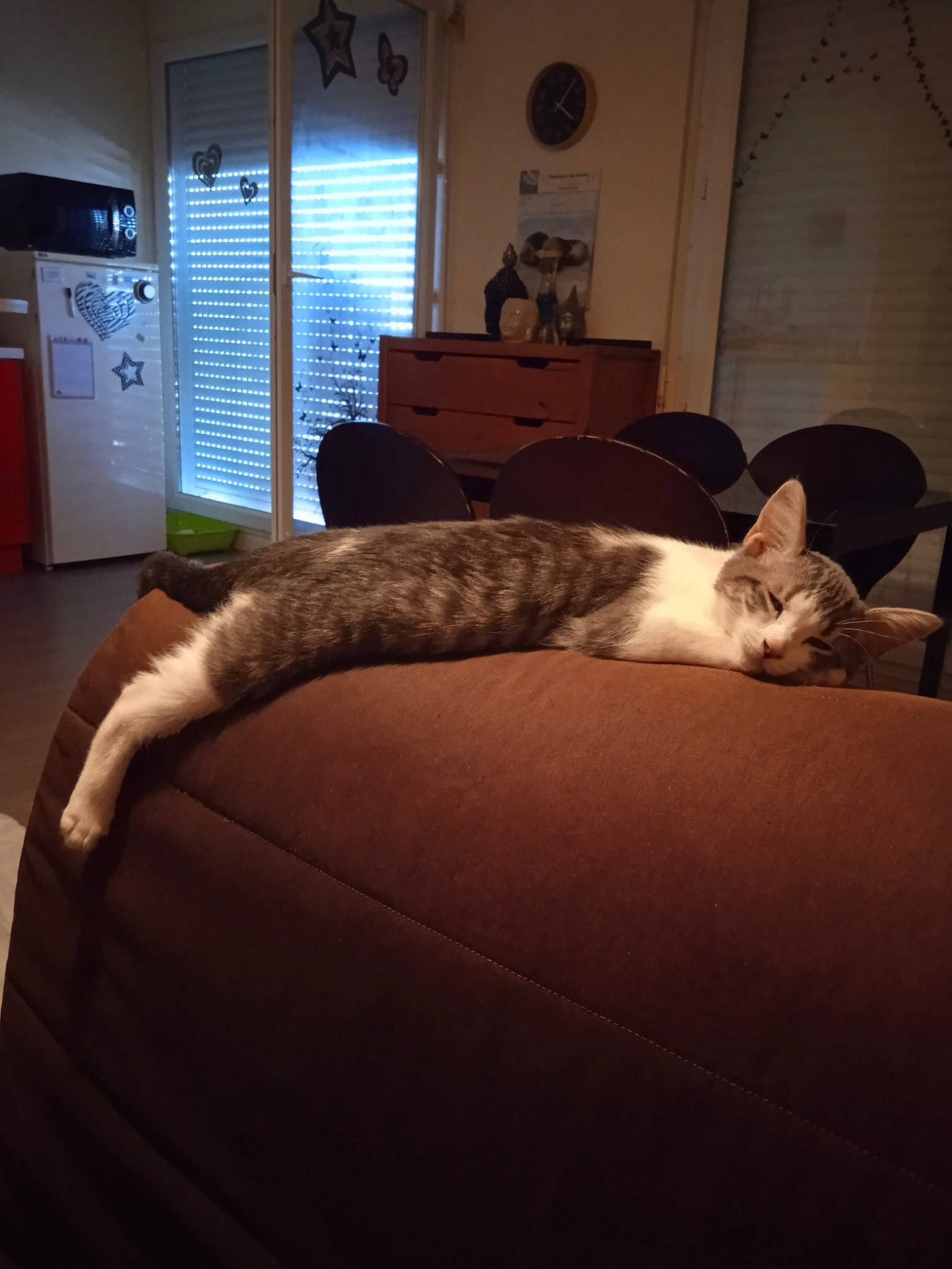 Choupie participe au concours pour gagner de l'argent avec cette photo : cabinetry, carnivore, cat, comfort, couch, felidae, floor, flooring, grey, hardwood, interior_design, lighting, living_room, mammal, picture_frame, textile, whiskers, window, window_blind, wood