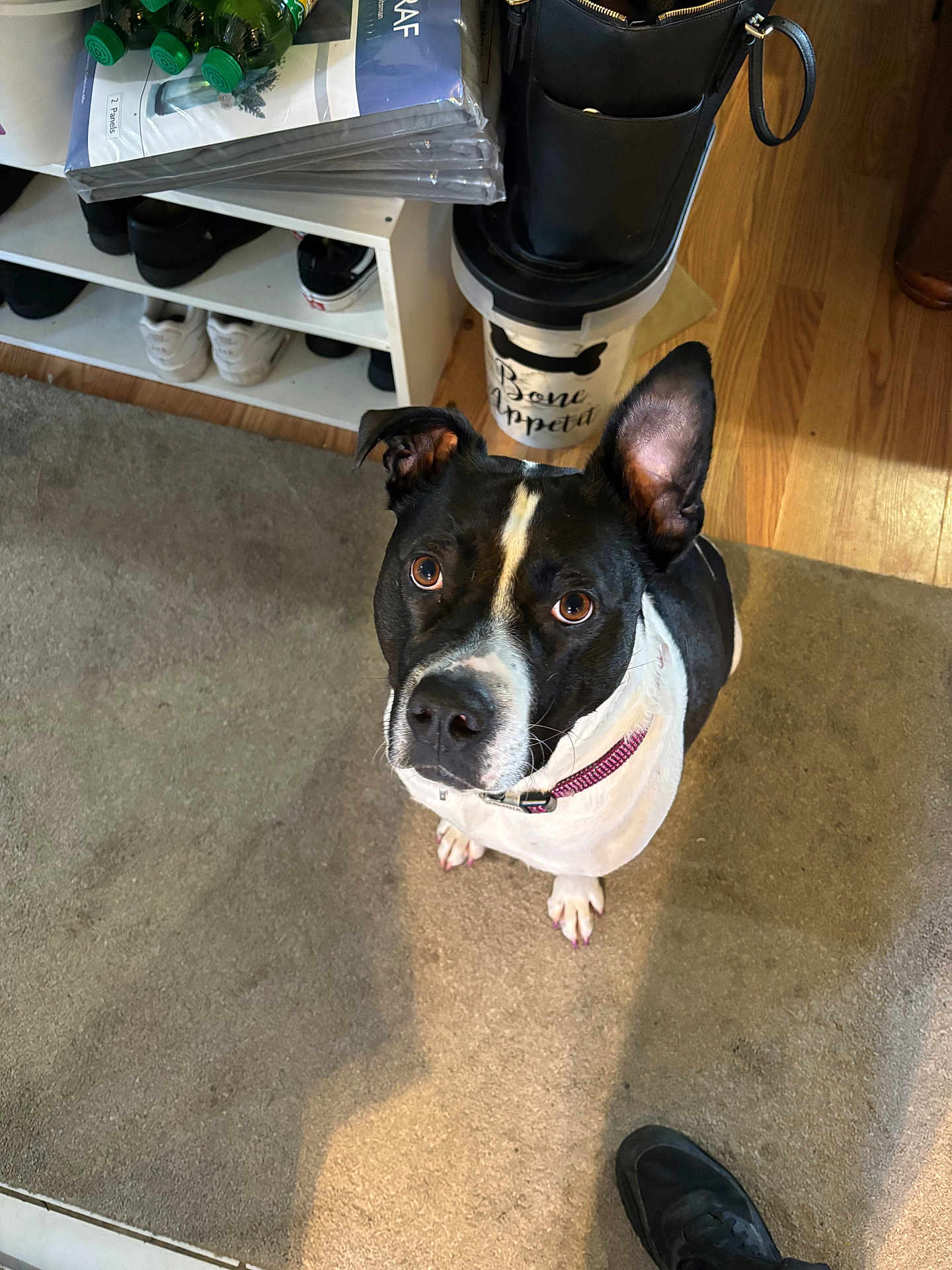 Chloe