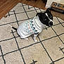 dog, black_and_white, sweater, carpet, geometric_pattern, wood_floor, dog_bowl, christmas_tree, indoor, pet, cute, sitting, looking_up, cozy, home, animal, floor, fur, ears, tail
