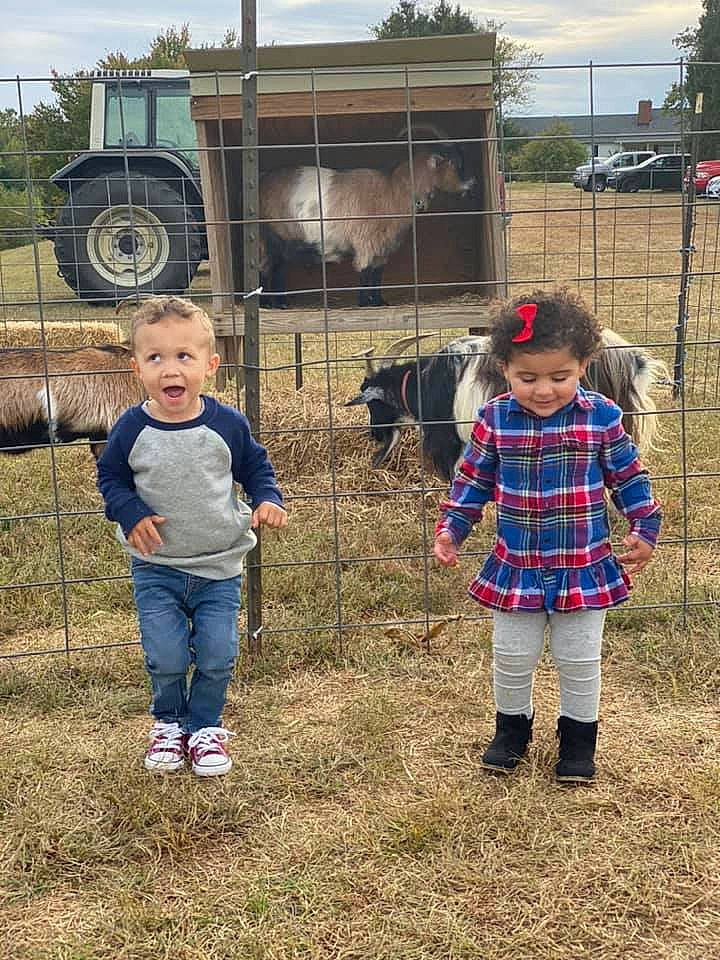 Trent joined the competition — help win amazing prizes! child, grass, joy, person, plant, play, toddler, tree, vehicle