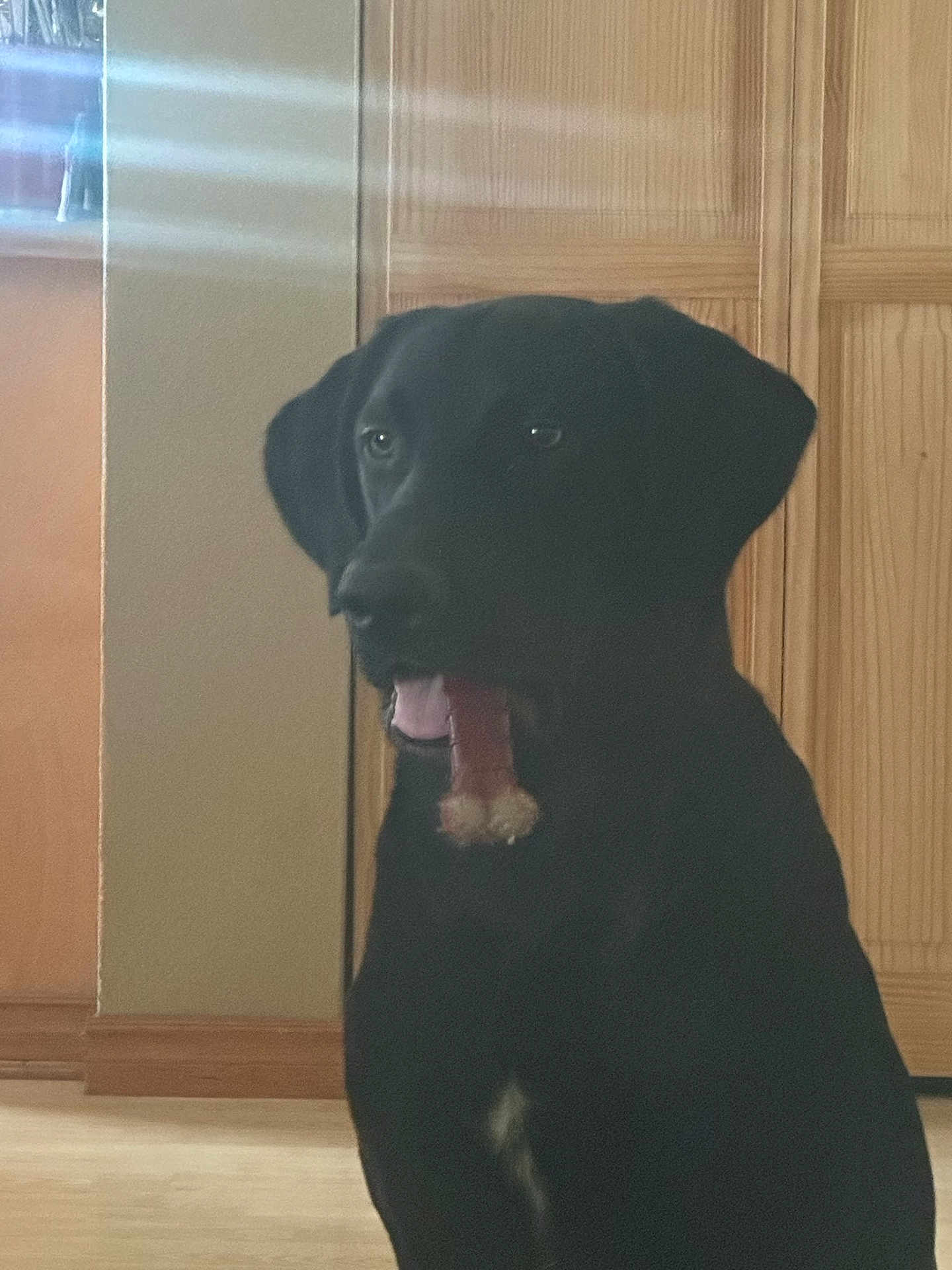 Chevy