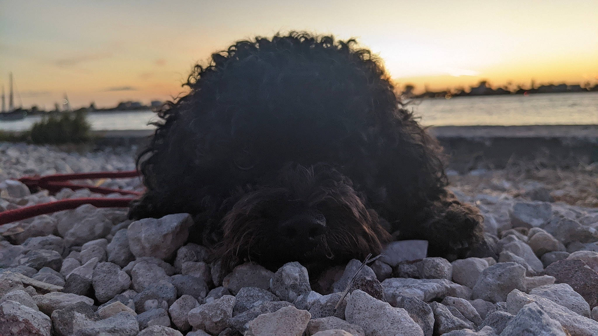 Pepper is registered to the contest to win money with this photo: automotive_tire, bedrock, cloud, coast, coastal_and_oceanic_landforms, evening, horizon, landscape, natural_landscape, ocean, rock, shore, sky, soil, sunrise, sunset, water, wave, wind_wave, wood