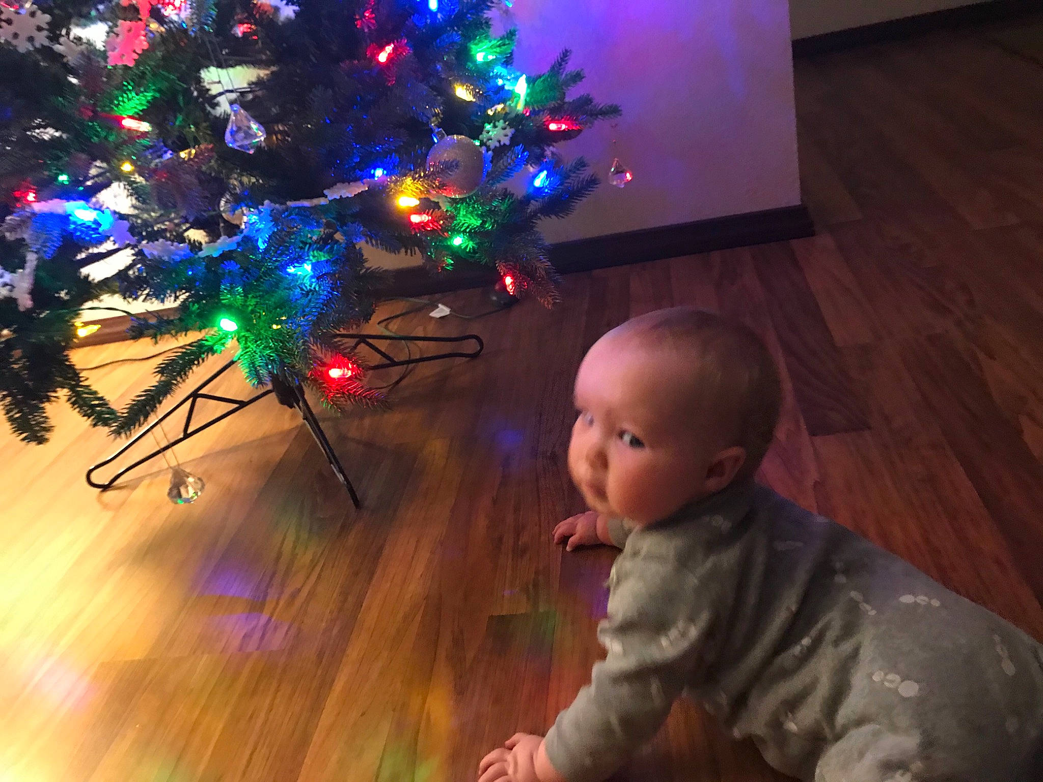 Emma is registered to the contest to win money with this photo: baby, baby_toddler_clothing, christmas, christmas_decoration, christmas_eve, christmas_lights, christmas_ornament, christmas_tree, floor, flooring, hardwood, holiday, holiday_ornament, interior_design, laminate_flooring, ornament, person, toddler, wood, wood_flooring