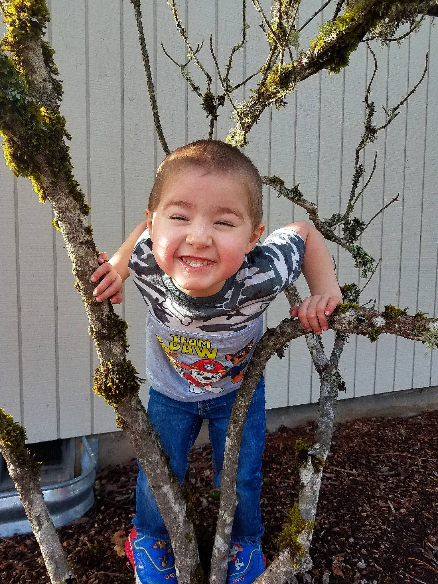Richard joined the competition — help win amazing prizes! branch, child, joy, person, plant, smile, toddler, tree