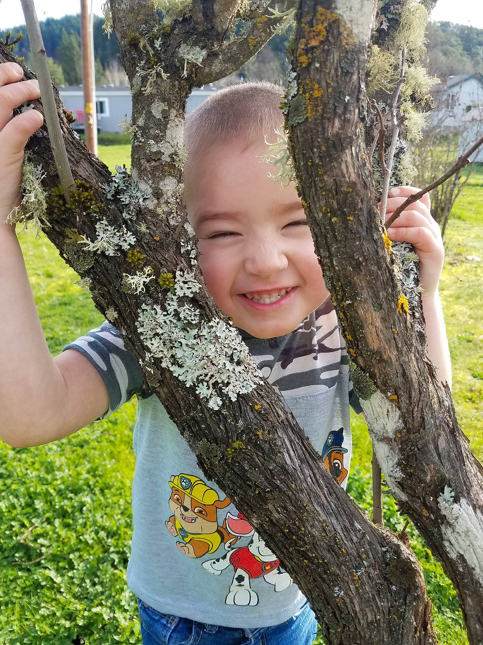 Richard is registered to the contest to win money with this photo: adaptation, birch_family, branch, child, joy, person, plant, tree, trunk, woody_plant