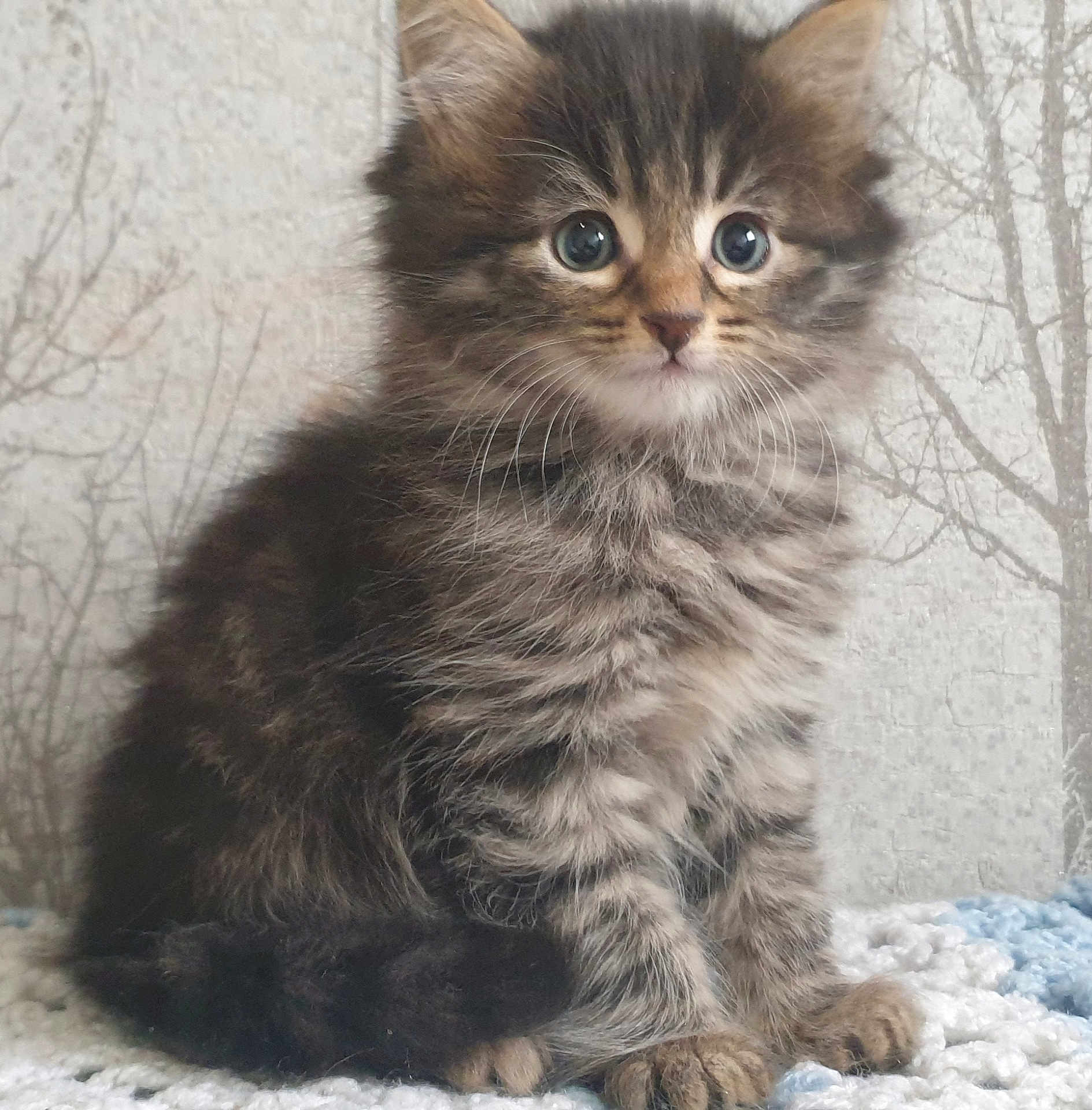 Peanut