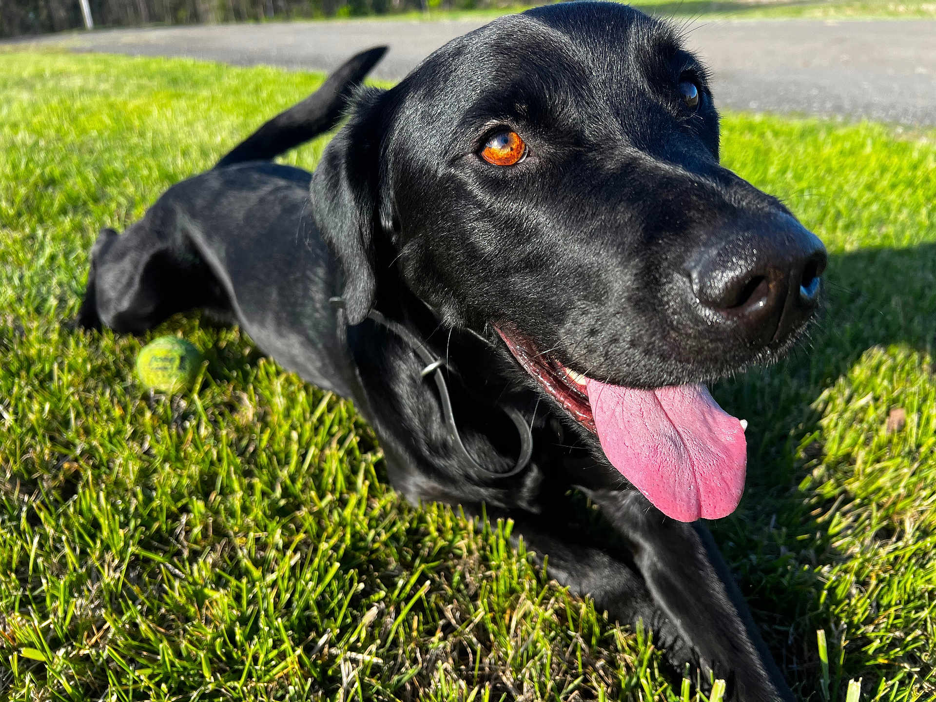 Finnegan