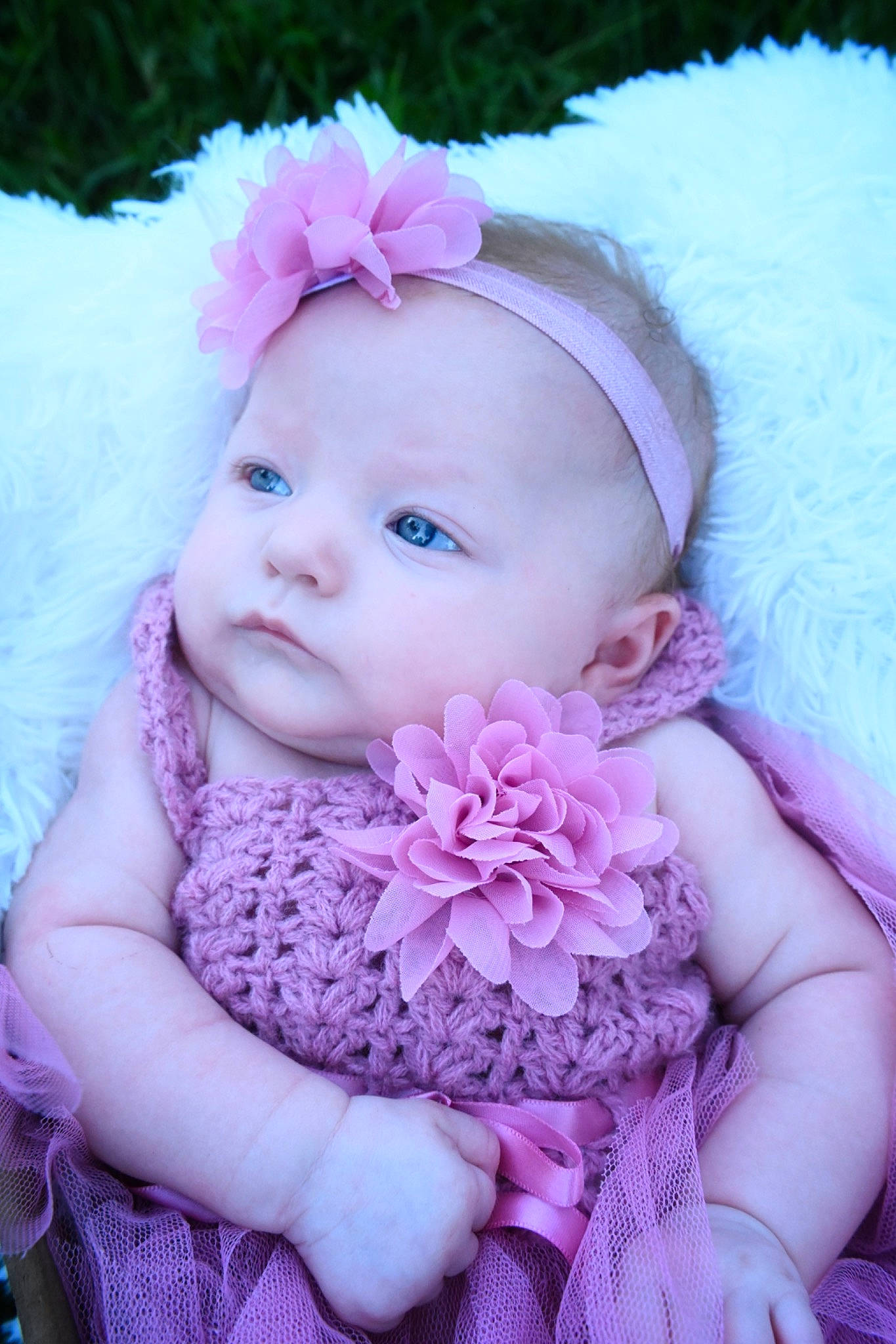 Madison is registered to the contest to win money with this photo: baby, baby_toddler_clothing, dress, flash_photography, flower, grass, hand, happy, headband, headpiece, magenta, person, petal, pink, plant, purple, skin, textile, toddler, violet