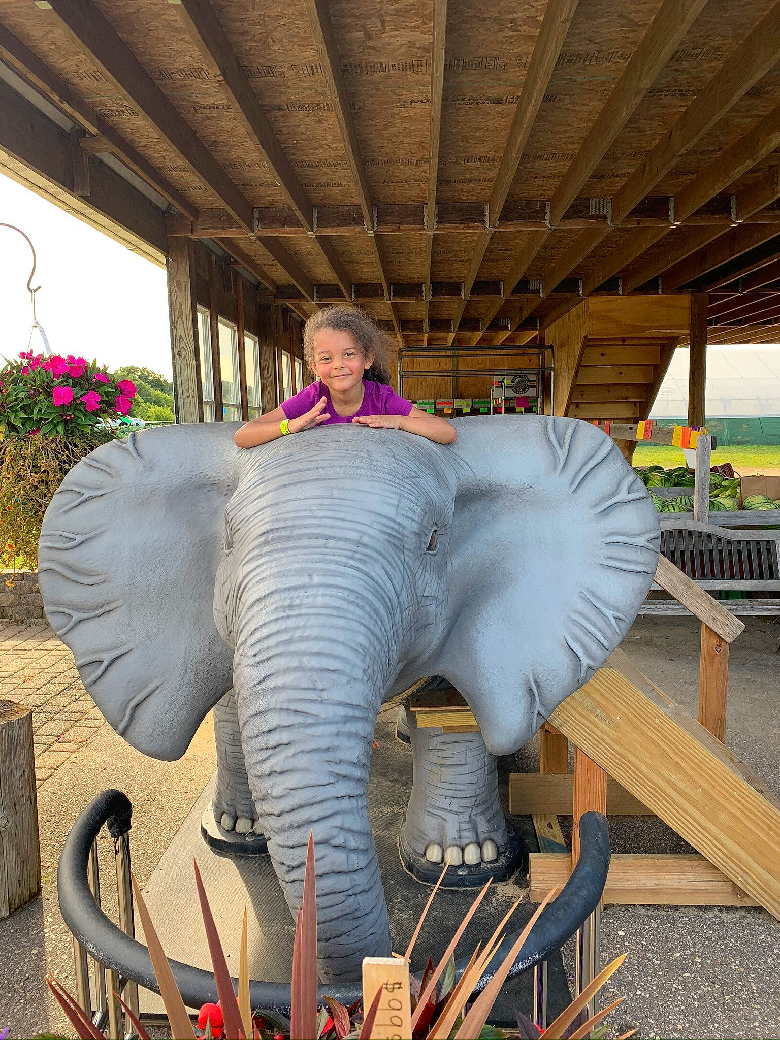 Lillyanah joined the competition — help win amazing prizes! african_elephant, elephant, elephants_and_mammoths, joy, person