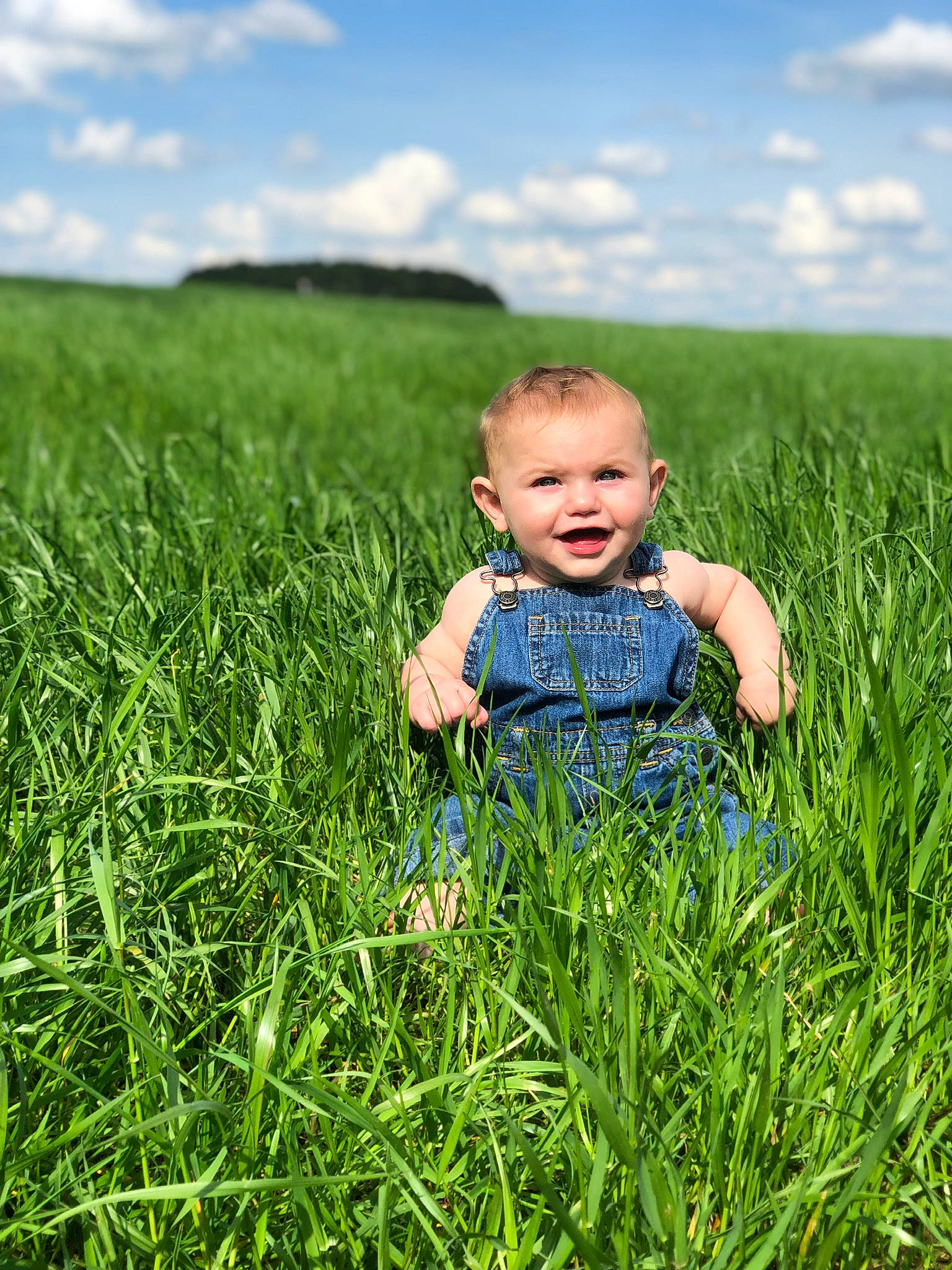 Lukah is registered to the contest to win money with this photo: child, crop, farm, field, fodder, grass, grass_family, grassland, green, happy, meadow, natural_environment, people_in_nature, person, photography, plain, plant, prairie, sky, summer