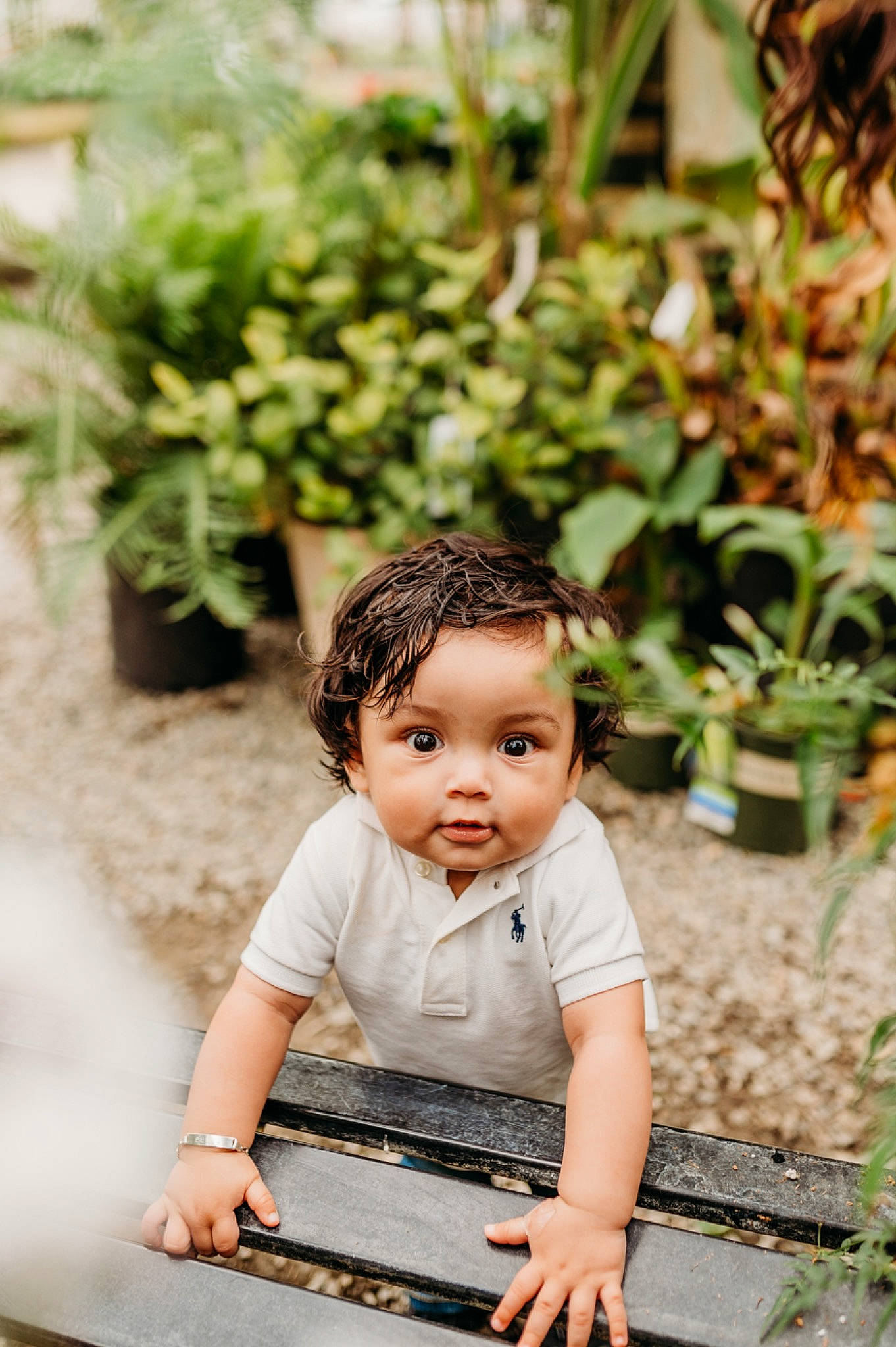 Elias is registered to the contest to win money with this photo: baby, baby_toddler_clothing, botany, child, dress, flash_photography, flowerpot, garden, grass, green, happy, houseplant, leaf, leisure, people_in_nature, person, plant, skin, smile, toddler