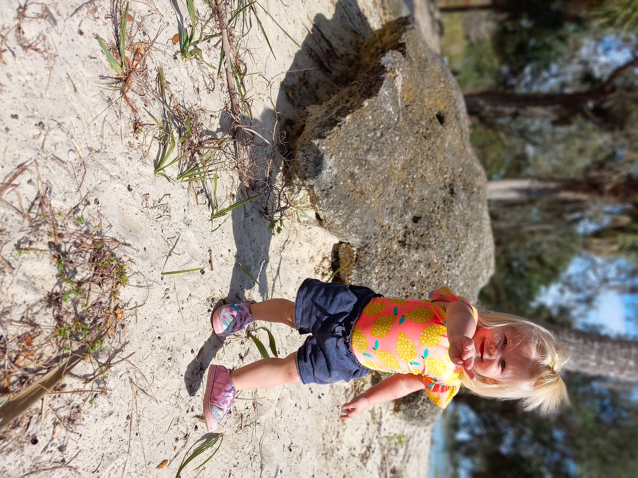 Aaliyah is registered to the contest to win money with this photo: adventure, climbing, fun, grass, happy, landscape, leisure, people_in_nature, person, plant, recreation, rock, rock_climbing_equipment, rope, smile, soil, sport_climbing, toddler, tree, trunk