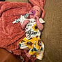 Brynleigh joined the competition — help win amazing prizes! baby, blanket, child, clothing, comfort, couch, cute, fabric, face, home, indoor, infant, pacifier, person, purple, relaxing, soft, sunflower, text, yellow