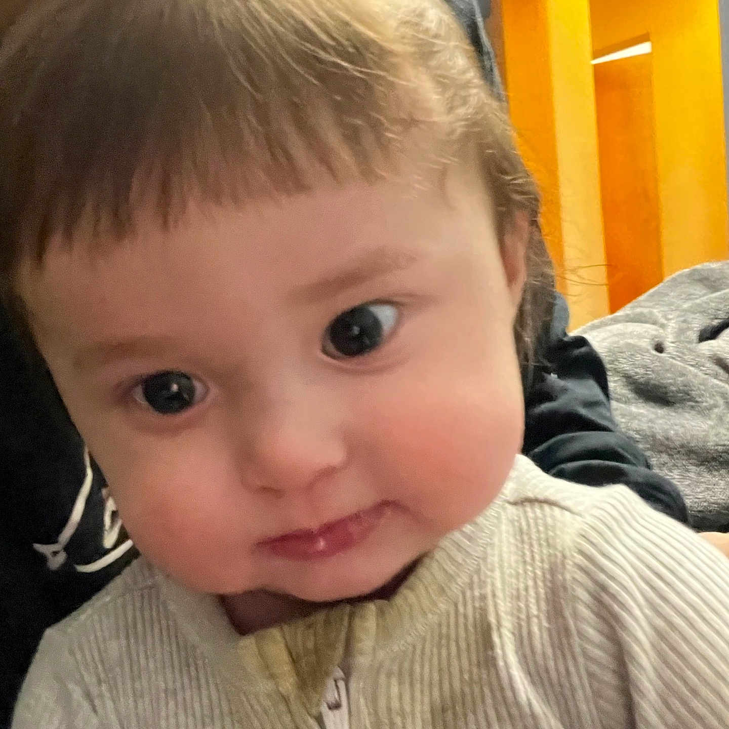 Kaida is registered to the contest to win money with this photo: baby, child, close_up, cozy, curious, curly_hair, cute, expression, face, hair_bangs, indoor, indoor_lighting, looking_down, person, portrait, small_zipper, sweater, warm_lighting, young_child, young_face