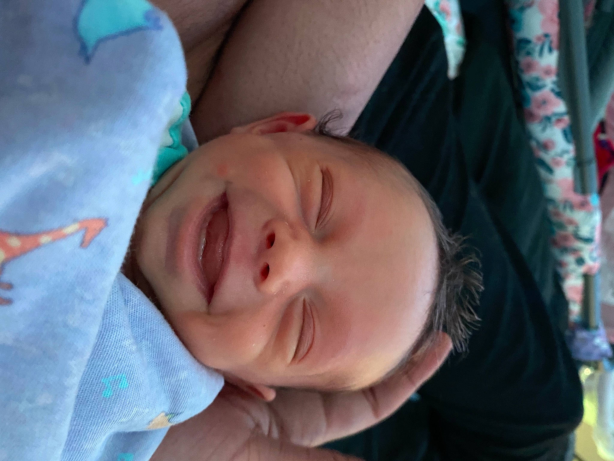 Clover joined the competition — help win amazing prizes! baby, cheek, chin, comfort, eye, eyebrow, finger, gesture, happy, iris, lip, mouth, neck, nose, organ, person, plant, skin, smile, toddler