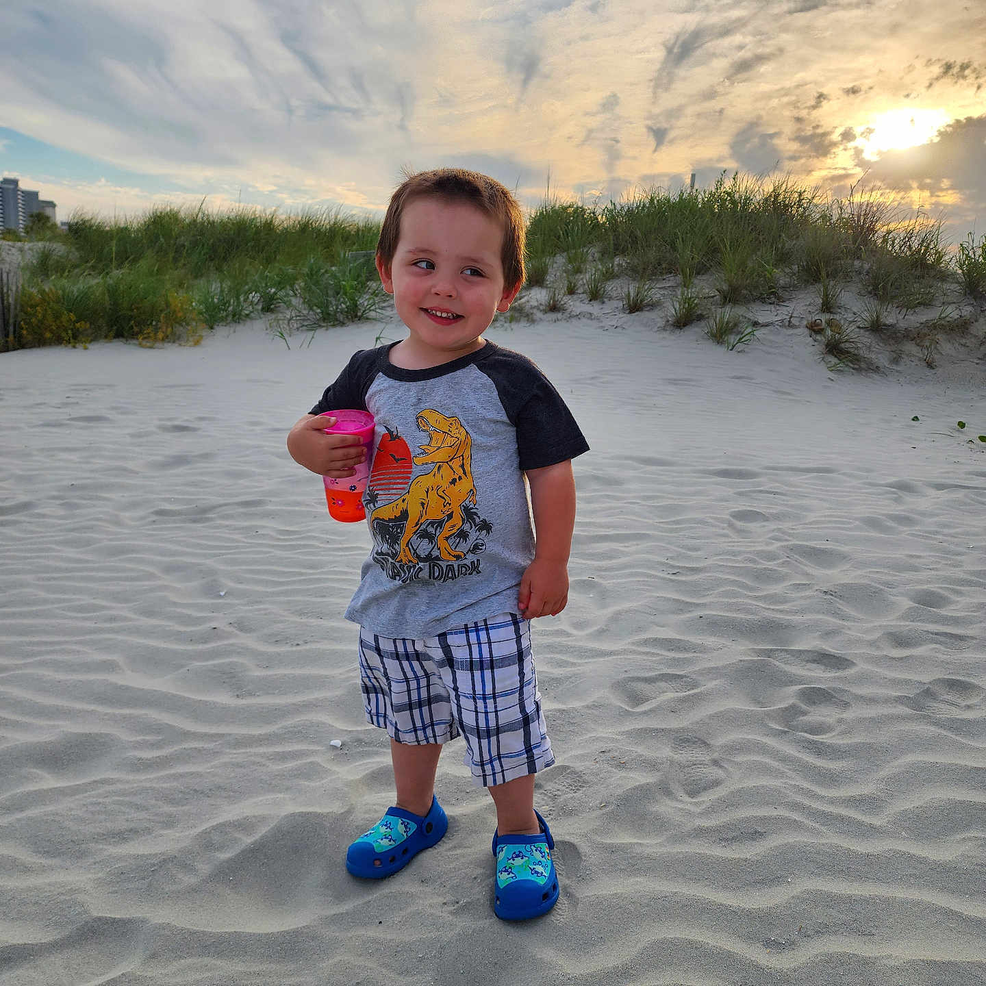 Anthony is registered to the contest to win money with this photo: beach, bodypart, boy, child, clothing, coast, face, finger, hand, head, male, nature, outdoors, pants, person, photography, portrait, shorts, soil, summer