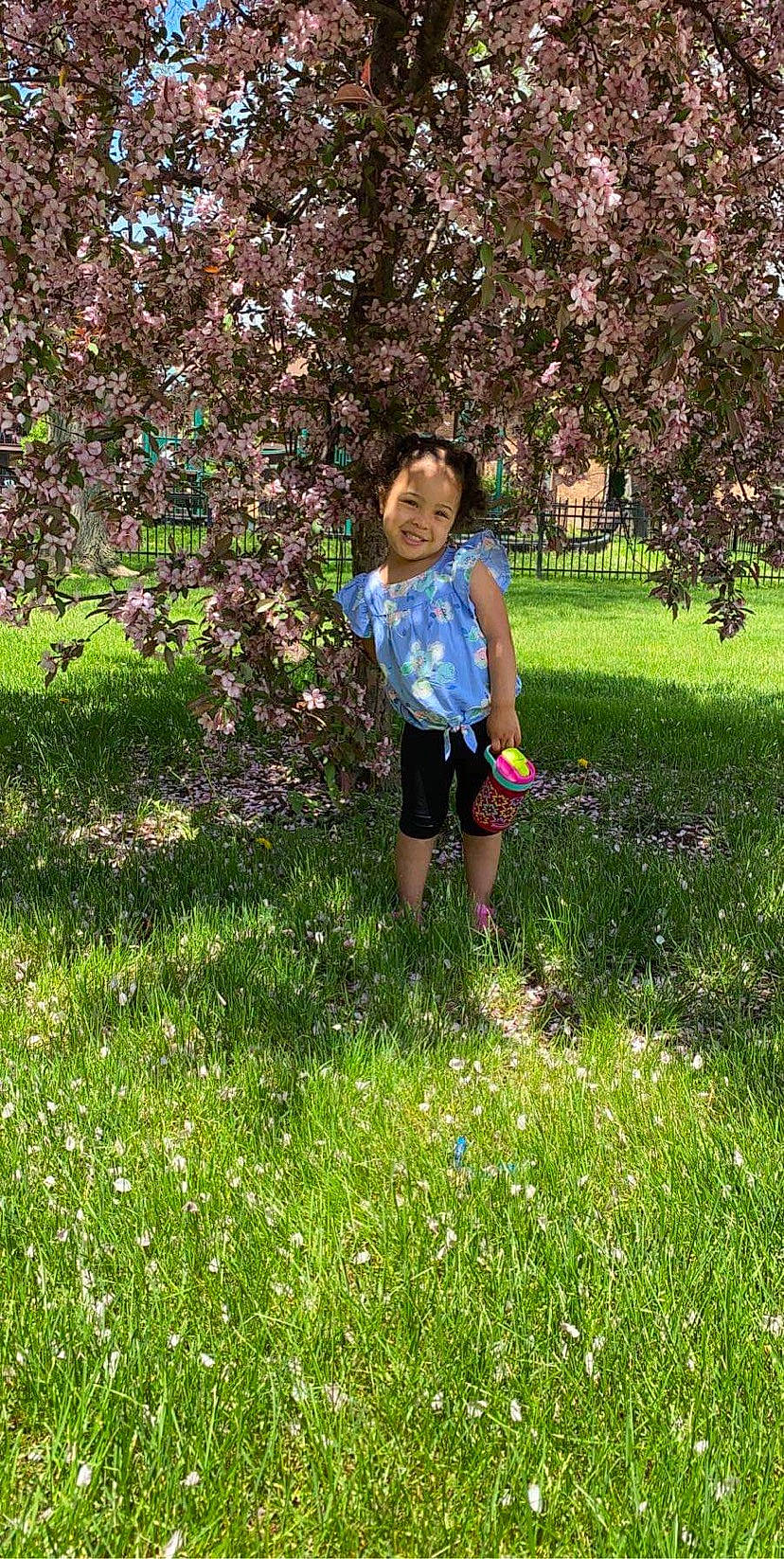 Lily joined the competition — help win amazing prizes! botany, flower, grass, grass_family, grassland, groundcover, happy, joy, lawn, leisure, meadow, natural_environment, natural_landscape, people_in_nature, person, plant, plant_community, recreation, shrub, smile