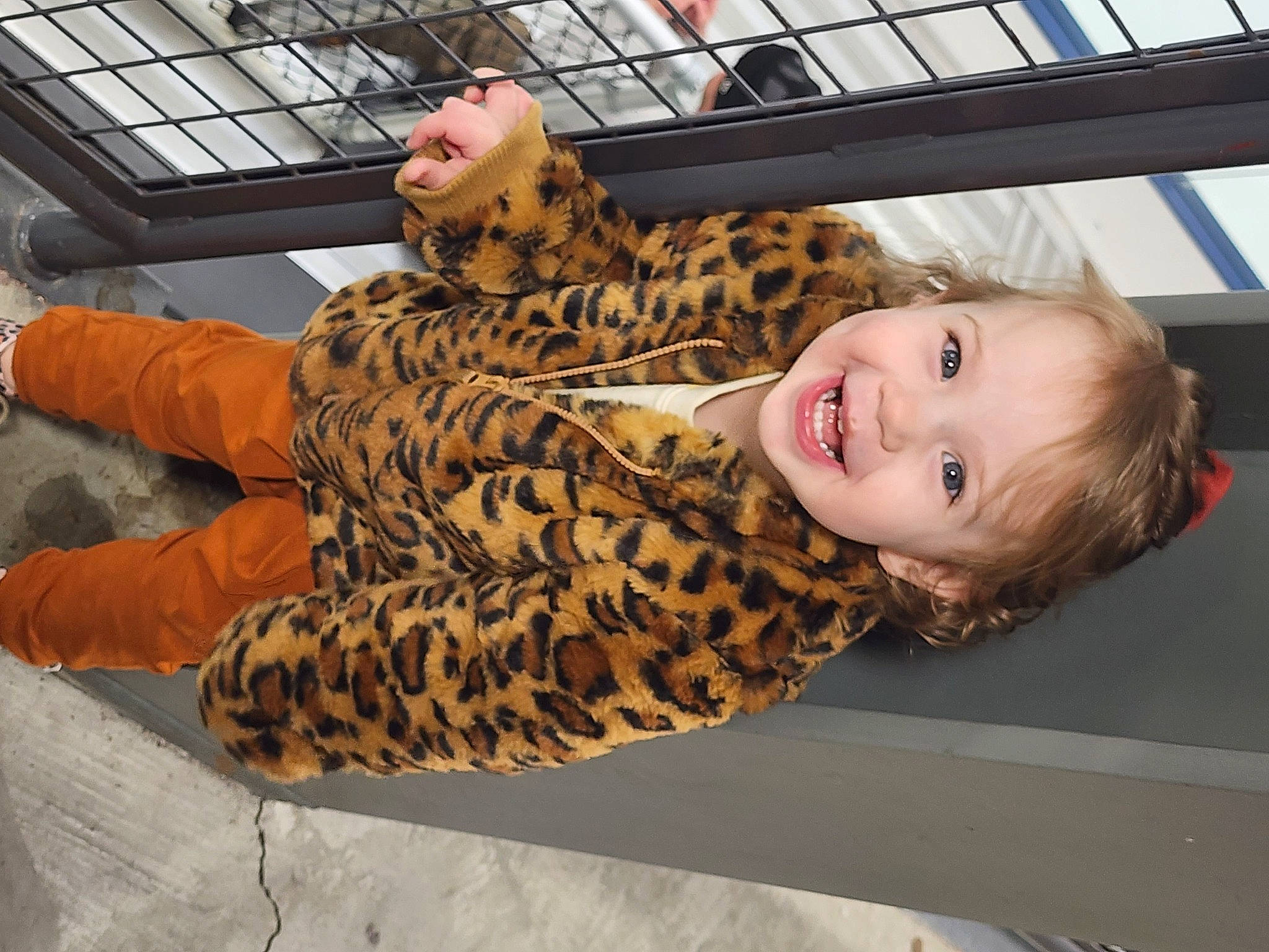 Blair joined the competition — help win amazing prizes! big_cats, child, fawn, felidae, fun, fur, human_leg, joy, leisure, metal, military_camouflage, pattern, person, smile, thigh, toddler, tree, wood