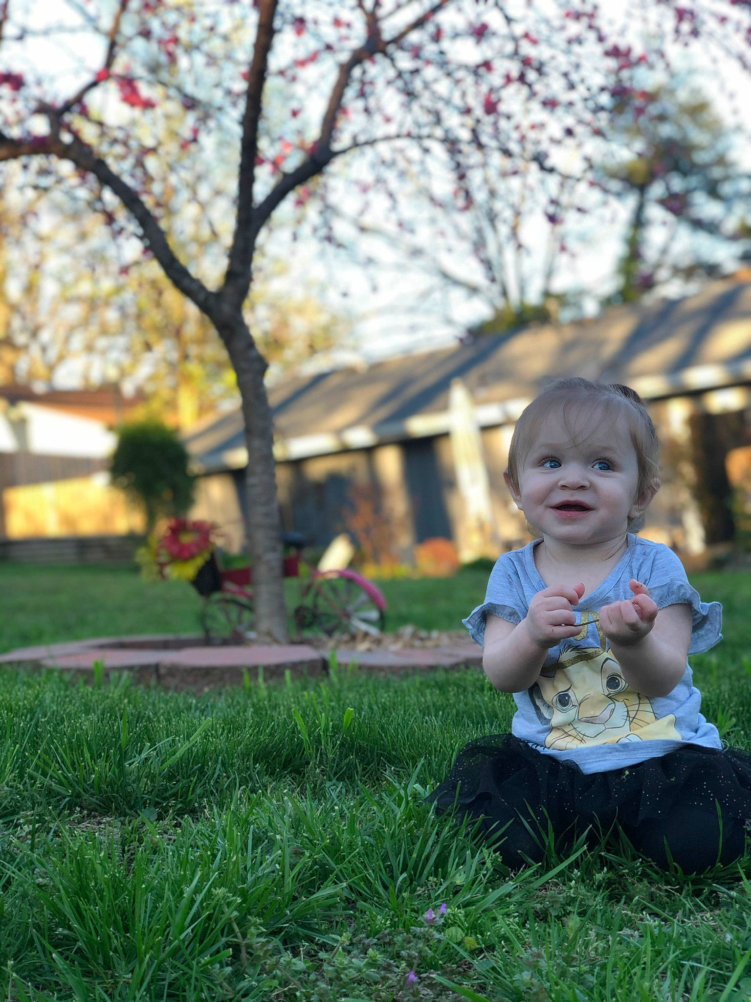 Madalynn joined the competition — help win amazing prizes! baby, blossom, branch, cherry_blossom, child, flower, fun, grass, happy, lawn, leaf, park, person, photography, pink, plant, sitting, smile, spring, toddler
