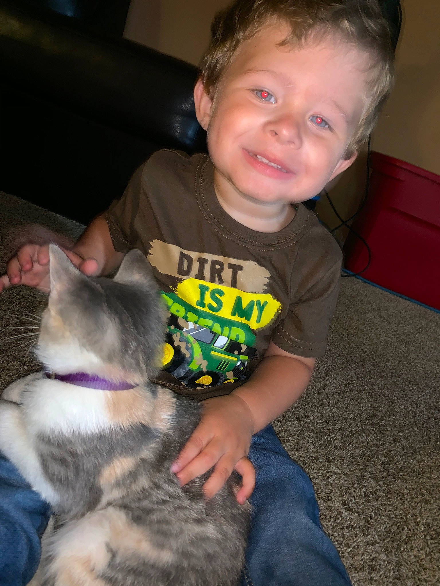 Hayden is registered to the contest to win money with this photo: asian, baby, carnivore, cat, child, domestic_short_haired_cat, ear, eye, felidae, iris, joy, kitten, korat, lap, person, russian_blue, small_to_medium_sized_cats, toddler, whiskers