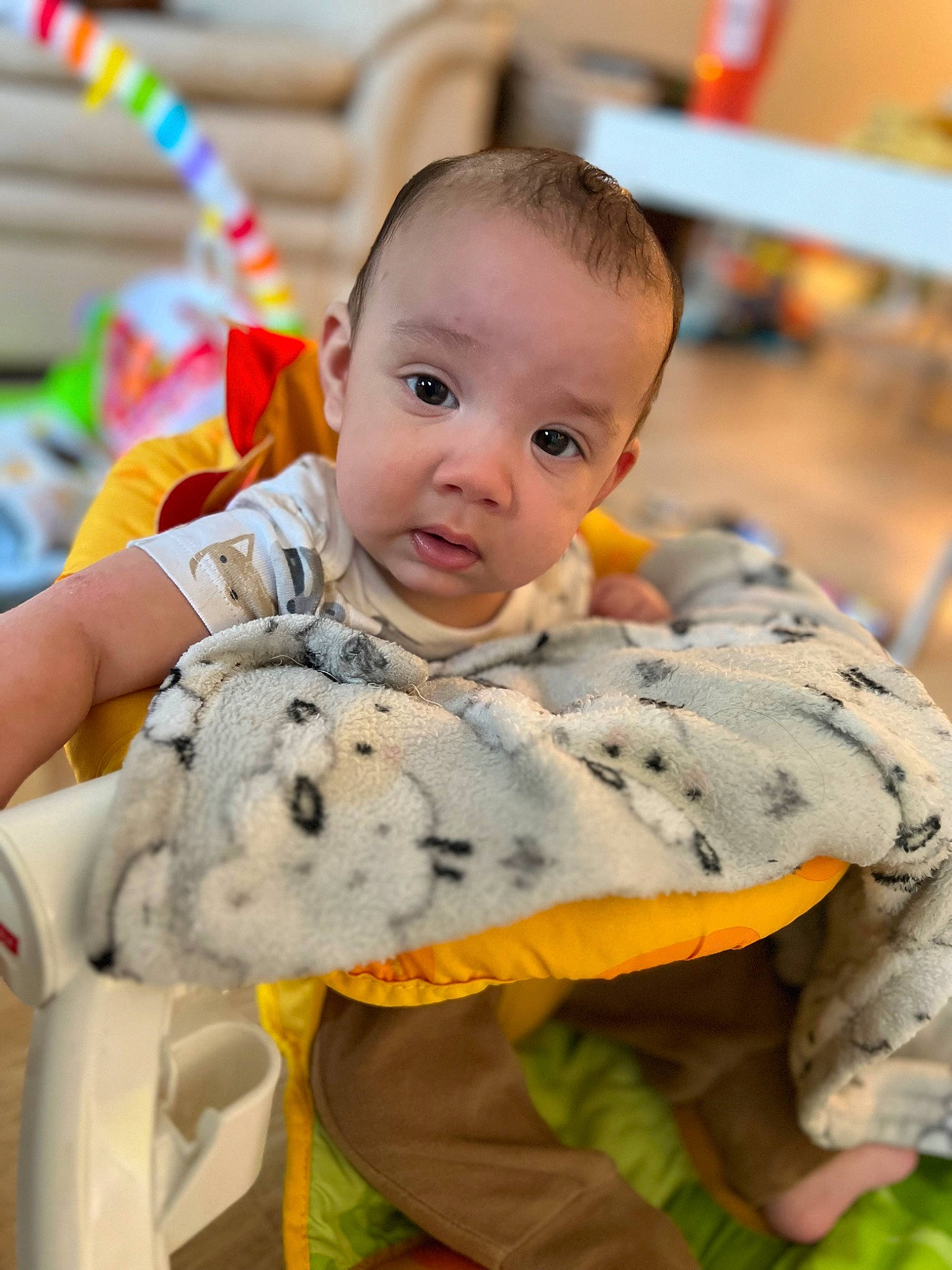 Creed joined the competition — help win amazing prizes! baby, baby_toddler_clothing, baby_toys, child, event, fun, fur, happy, leisure, mammal, person, play, product, room, sitting, skin, smile, toddler, toy, vacation