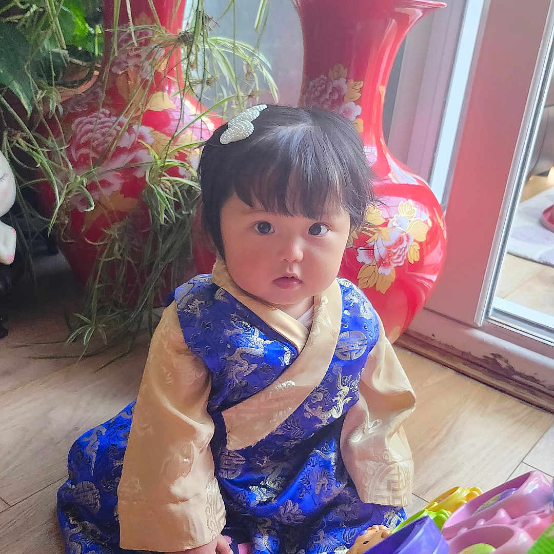 Saanvi joined the competition — help win amazing prizes! baby, blue_dress, child, colorful, curly_hair, cute, decorative_pot, floor, flower_pot, hair_clip, indoor, natural_light, plant, portrait, sitting, toddler, toy, traditional_clothing, window, wooden_floor