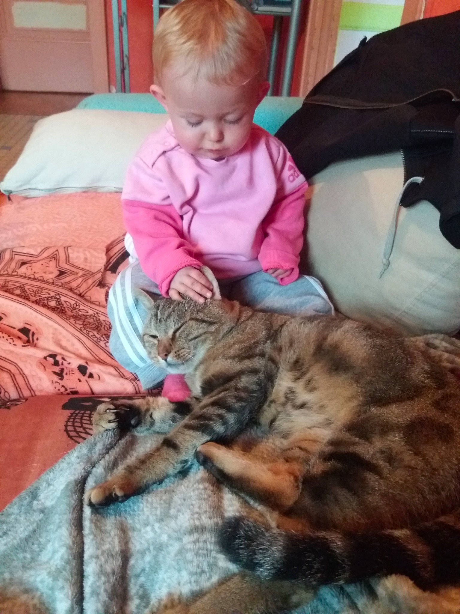 Moustache participe au concours pour gagner de l'argent avec cette photo : carnivoran, cat, cat_like_mammal, child, fur, kitten, mammal, nap, person, play, small_to_medium_sized_cats, toddler, vertebrate, whiskers