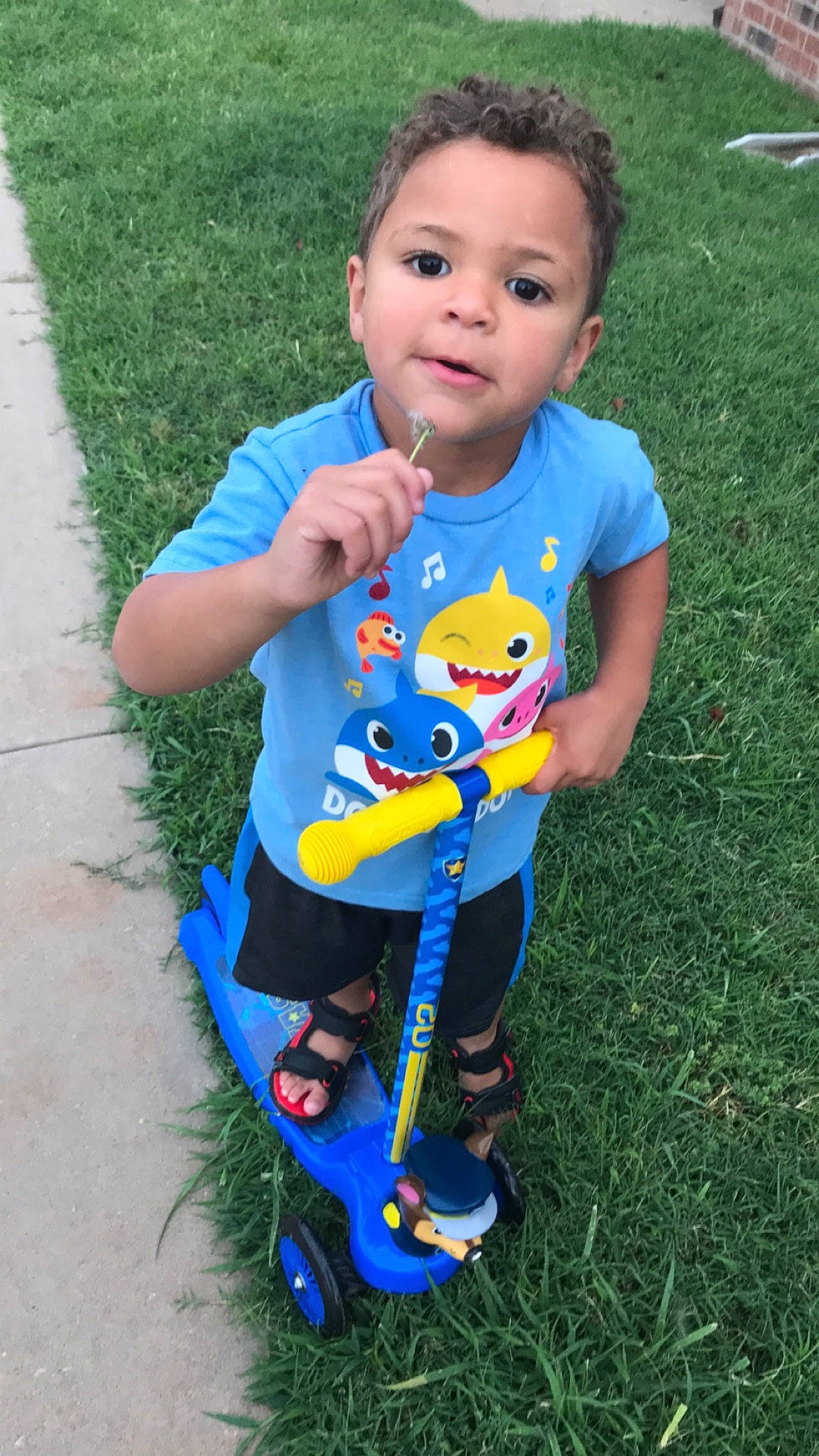 Aaron is registered to the contest to win money with this photo: baby_toddler_clothing, child, electric_blue, face, fun, grass, hairstyle, happy, head, jeans, leisure, people_in_nature, person, plant, recreation, sandal, sitting, sleeve, smile, t_shirt