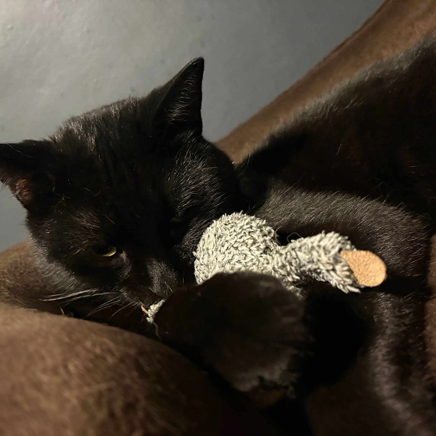 Binx