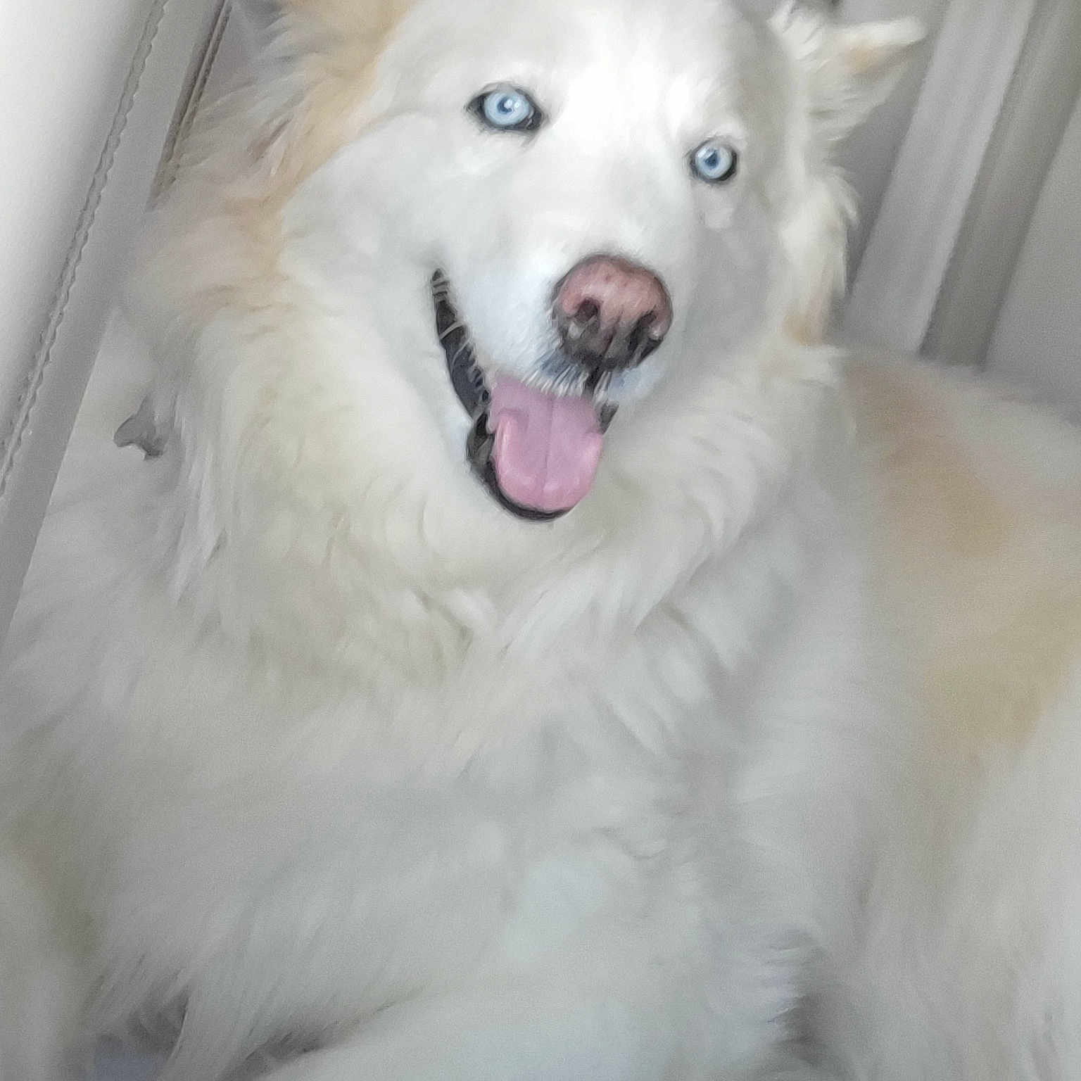 Snowball