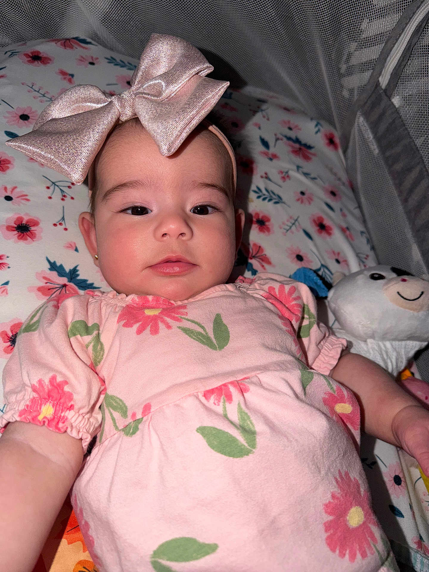 Victoria is registered to the contest to win money with this photo: baby, child, bow, pink_dress, floral_pattern, stuffed_toy, crib, mesh_canopy, face, portrait, cute, infant, sleeping_area, fabric, soft_toy, smile, happy, person, indoors, closeup