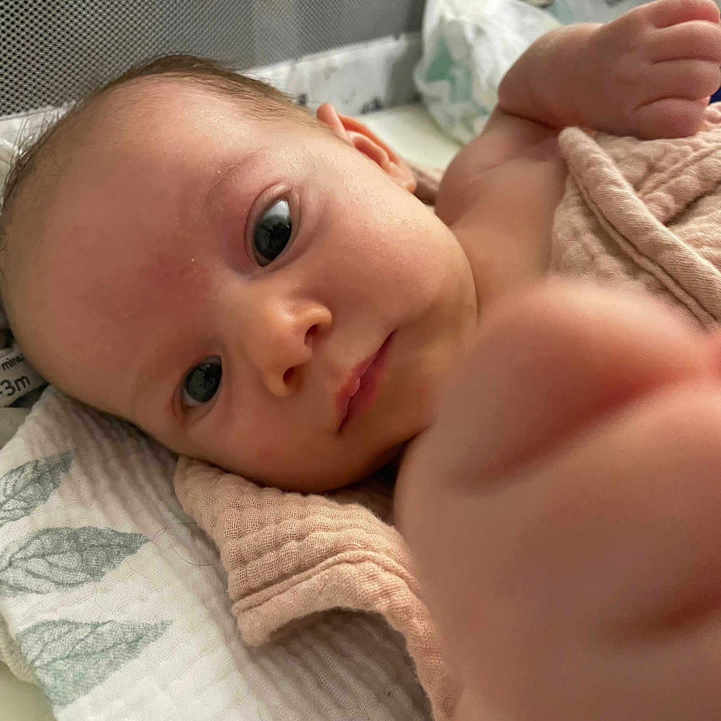 Mirjana joined the competition — help win amazing prizes! baby, bed, blanket, child, close_up, curious, cute, eyes, fabric, face, hand, indoors, infant, lying_down, newborn, person, portrait, skin, soft, young