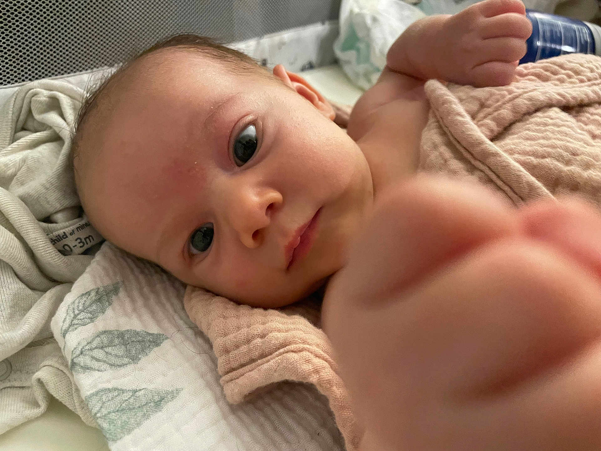 Mirjana joined the competition — help win amazing prizes! baby, infant, face, hand, blanket, soft, close_up, curious, skin, eyes, lying_down, fabric, bed, newborn, cute, portrait, child, indoors, young, person