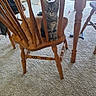 Kiwi is registered to the contest to win money with this photo: animal, carpet, cat, cozy, curious, domestic, floor, furniture, home, indoor, kitten, looking, pet, playful, sitting, small, tabby, toy, wooden_chair, young