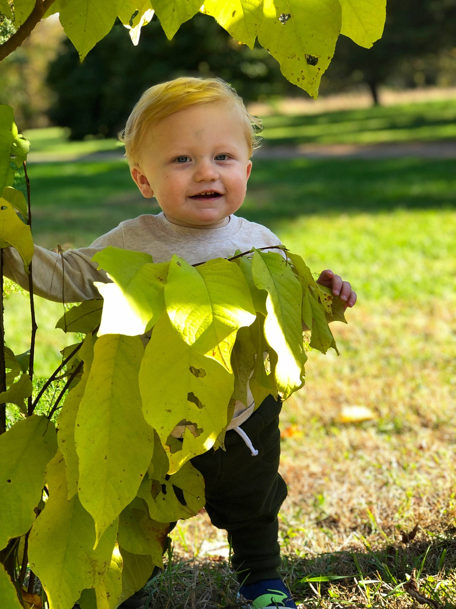 Xander is registered to the contest to win money with this photo: child, flower, grass, green, happy, leaf, people_in_nature, person, plant, smile, toddler, tree