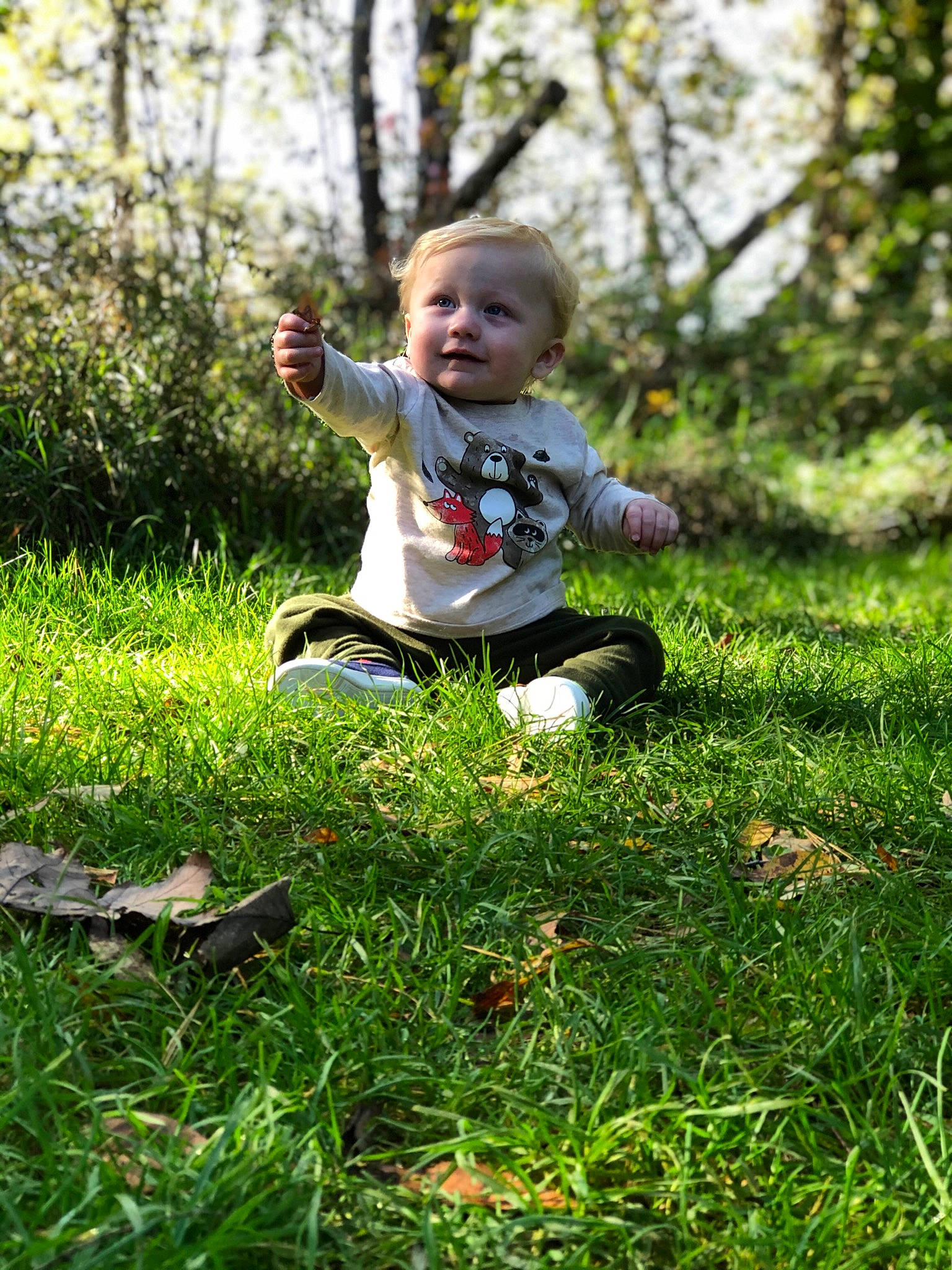 Xander is registered to the contest to win money with this photo: baby, botany, child, fun, grass, grass_family, green, happy, lawn, leaf, meadow, people_in_nature, person, photography, plant, play, sitting, spring, summer, toddler