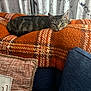 cat, tabby, blanket, orange, plaid, couch, pillow, indoor, resting, pet, feline, cozy, relaxed, fur, texture, home, comfort, domestic, animal, sleepy