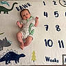 baby, infant, child, lying_down, portrait, face, eyes_open, smiling, onesie, striped_clothing, dinosaur, dinosaur_blanket, milestone_blanket, numbers, weeks, months, nursery, indoor, safe, milestone_photo