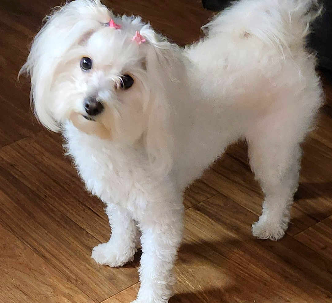 Mia