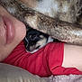 person, puppy, dog, sleeping, blanket, red_shirt, cozy, close_up, face, snuggling, soft, fuzzy, resting, indoors, warm, cute, pet, comfort, nap, young