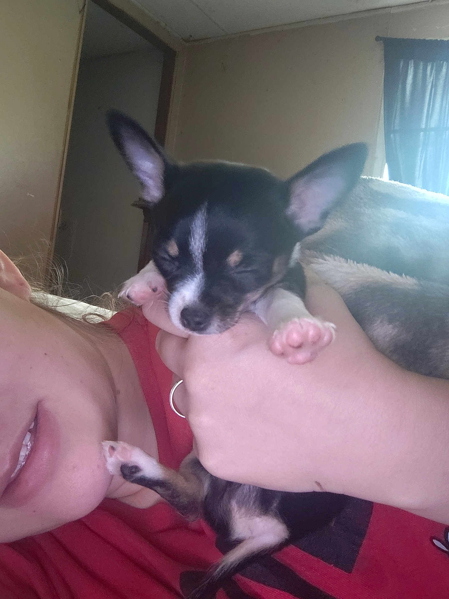 Dobby