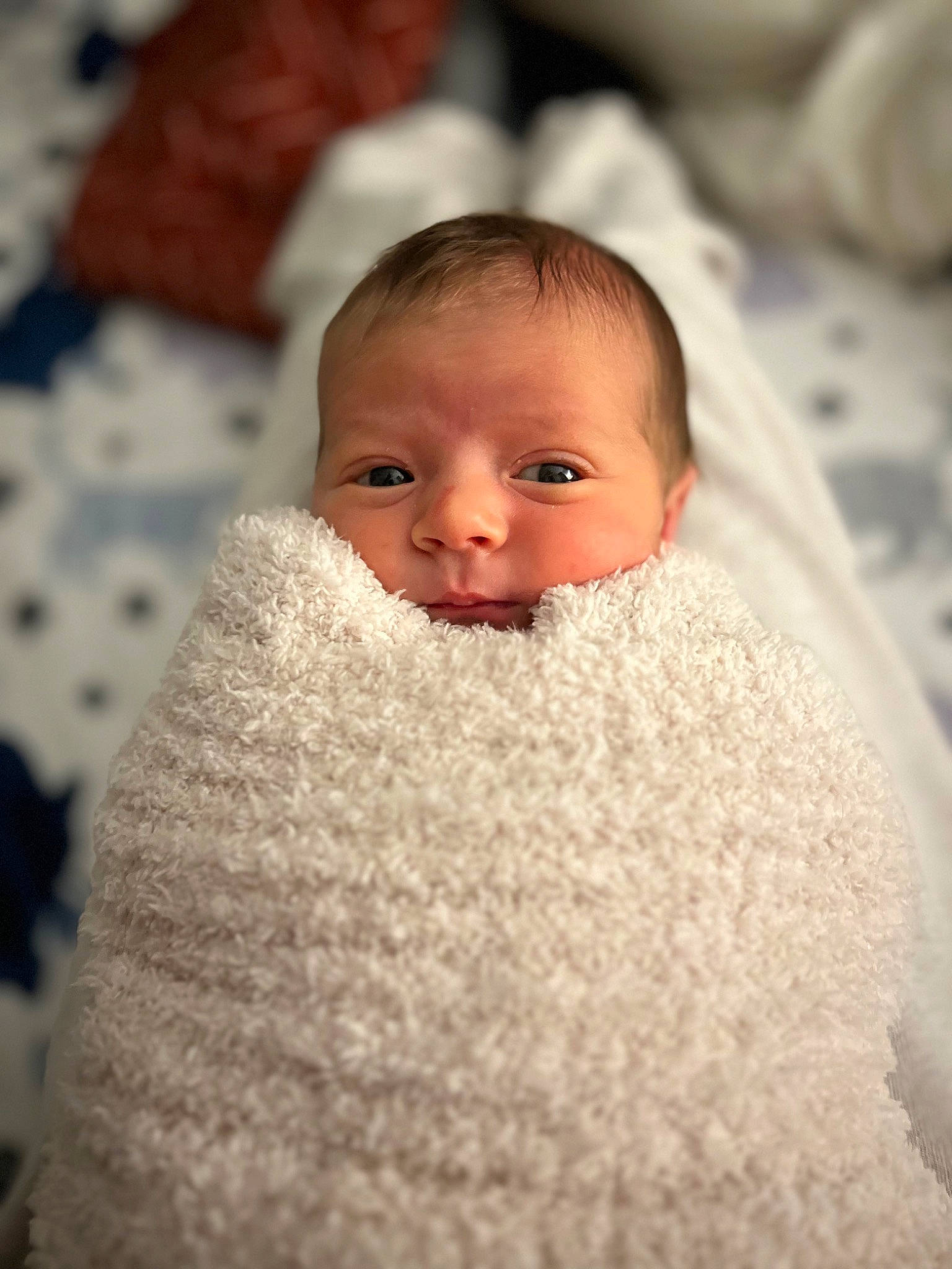 Mara joined the competition — help win amazing prizes! baby, cheek, child, chin, close_up, comfort, event, eye, eyebrow, eyelash, face, fur, happy, human_body, iris, lip, nose, person, skin, toddler