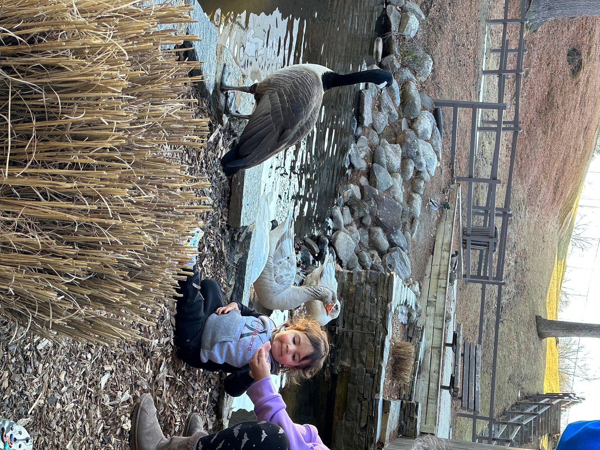 Josue joined the competition — help win amazing prizes! facade, freezing, fun, leisure, metal, person, recreation, reflection, rock, tree, trunk, visual_arts, water, winter, wood