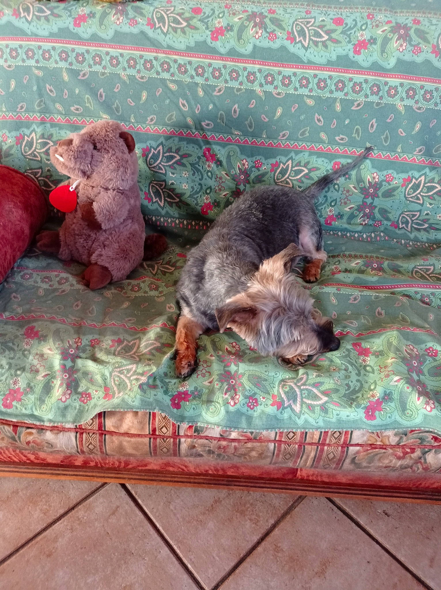 Evock participe au concours pour gagner de l'argent avec cette photo : canidae, carnivore, companion_dog, creative_arts, dog_breed, fawn, flooring, fur, groundcover, linens, magenta, pattern, pink, rectangle, sporting_group, stuffed_toy, tail, terrestrial_animal, textile, toy