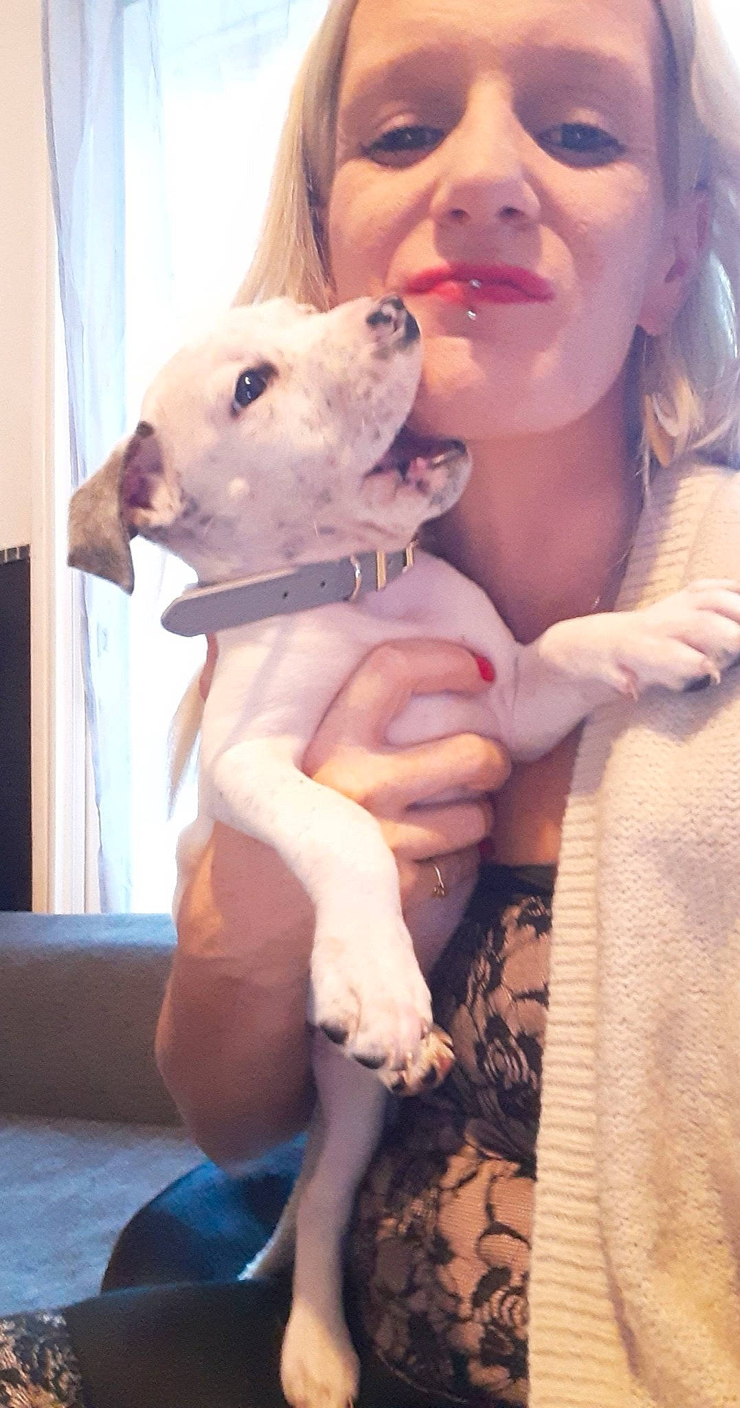 Ruby participe au concours pour gagner de l'argent avec cette photo : canidae, carnivore, child, companion_dog, curtain, dog, dog_breed, facial_expression, fawn, fun, fur, gesture, happy, nail, pink, puppy_love, skin, snout, stuffed_toy, t_shirt